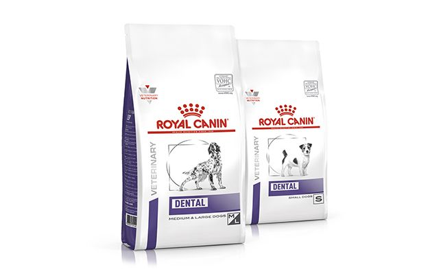 Content Block With Text And Image 1