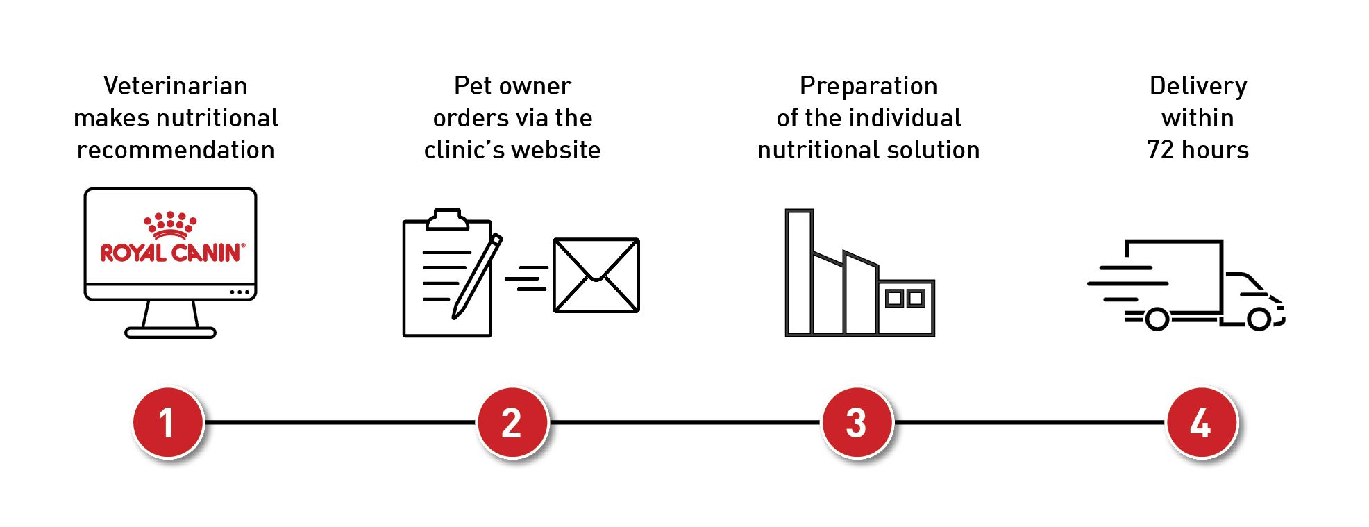 The four steps in achieving a tailor-made dietary solution for an individual pet