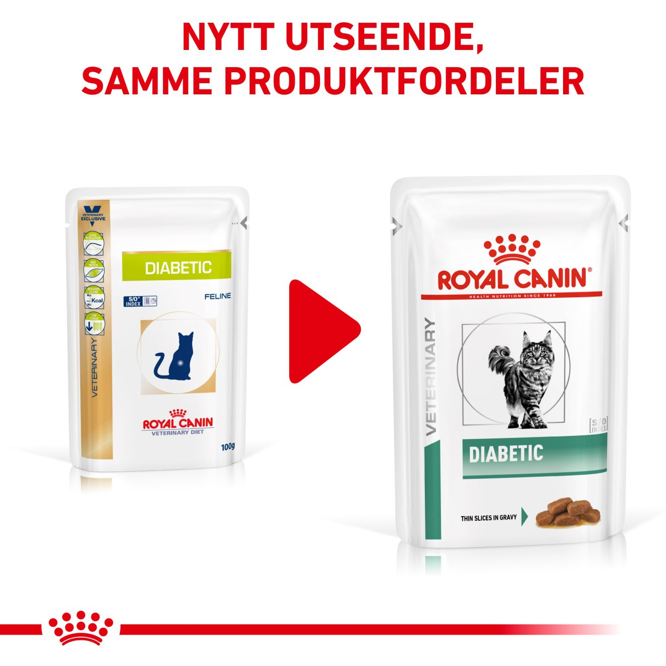 Weight Management Diabetic