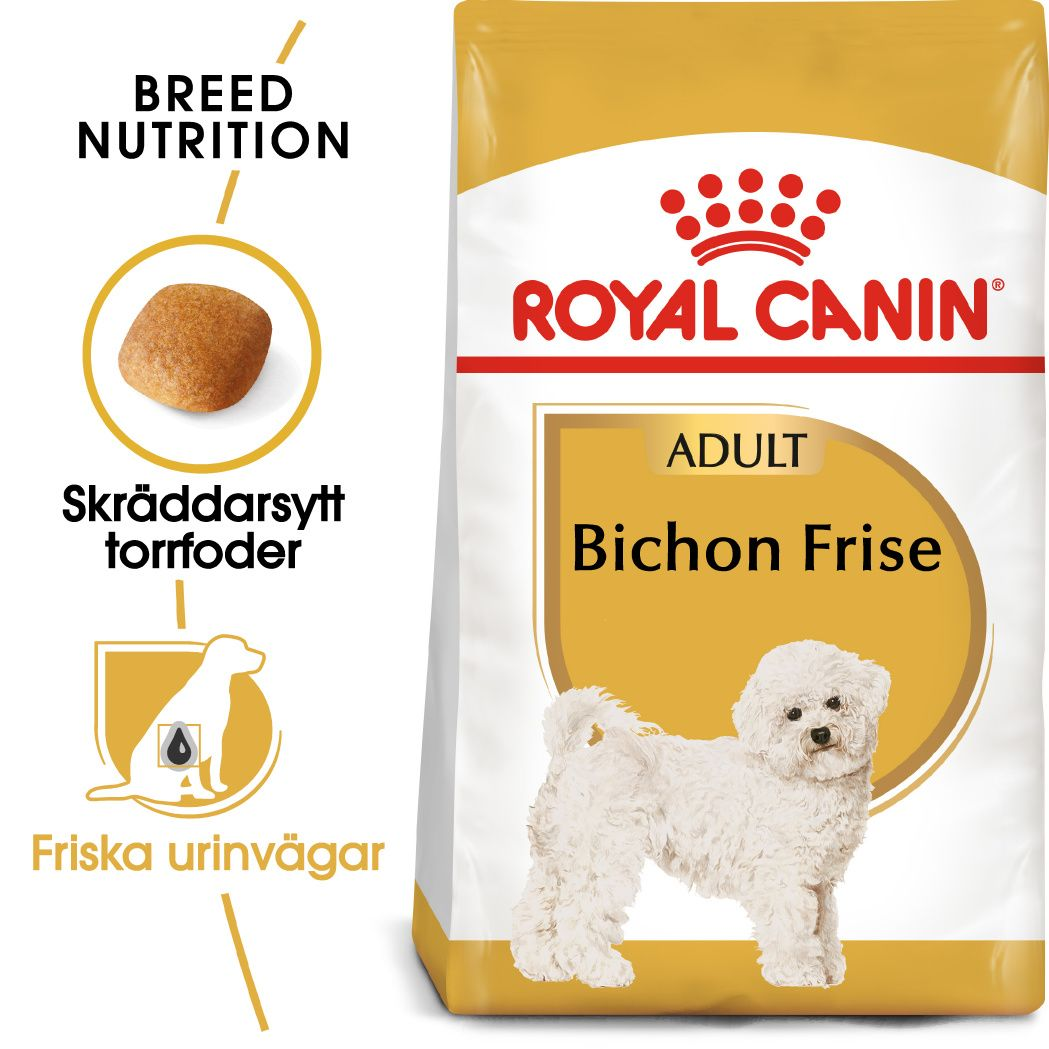 Bichon Frise Adult