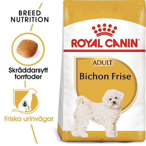 Bichon Frise Adult