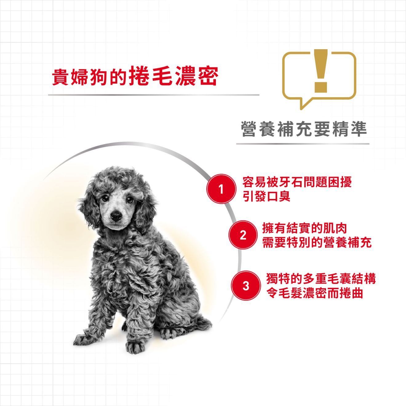 BHN 貴婦狗成犬專屬配方