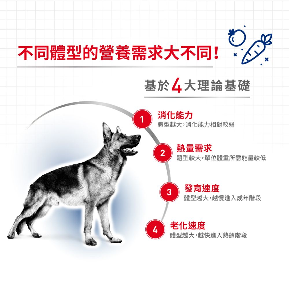 SHN 大型熟齡犬5+營養配方