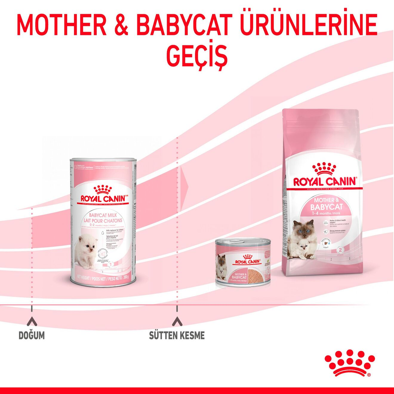 Babycat Milk Yavru Kedi Süt Tozu