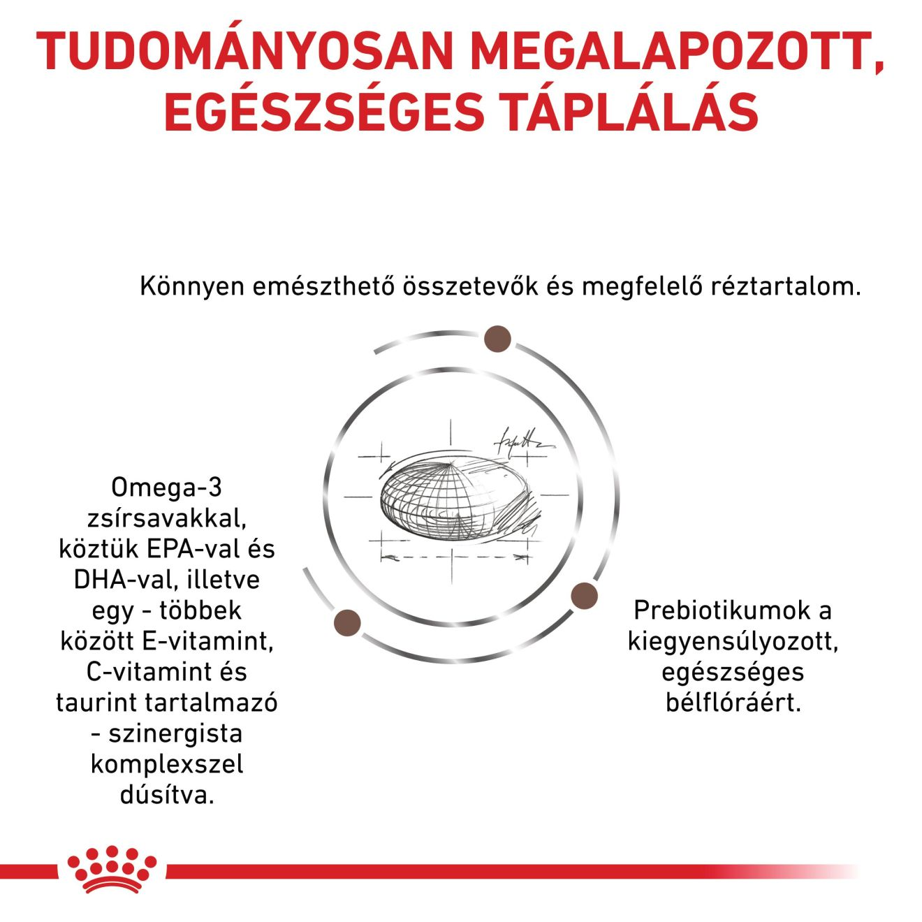 Hepatic