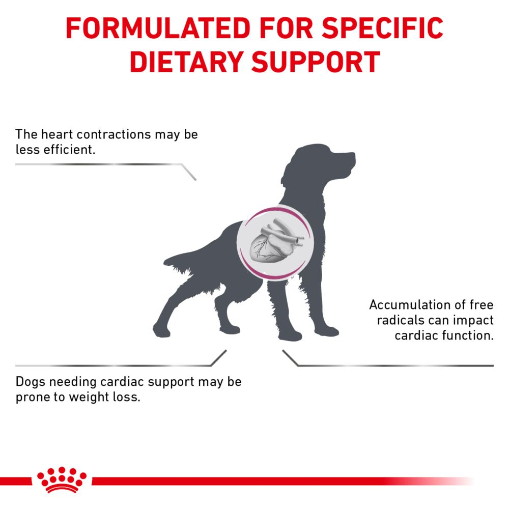 Dog heart 2024 murmur diet