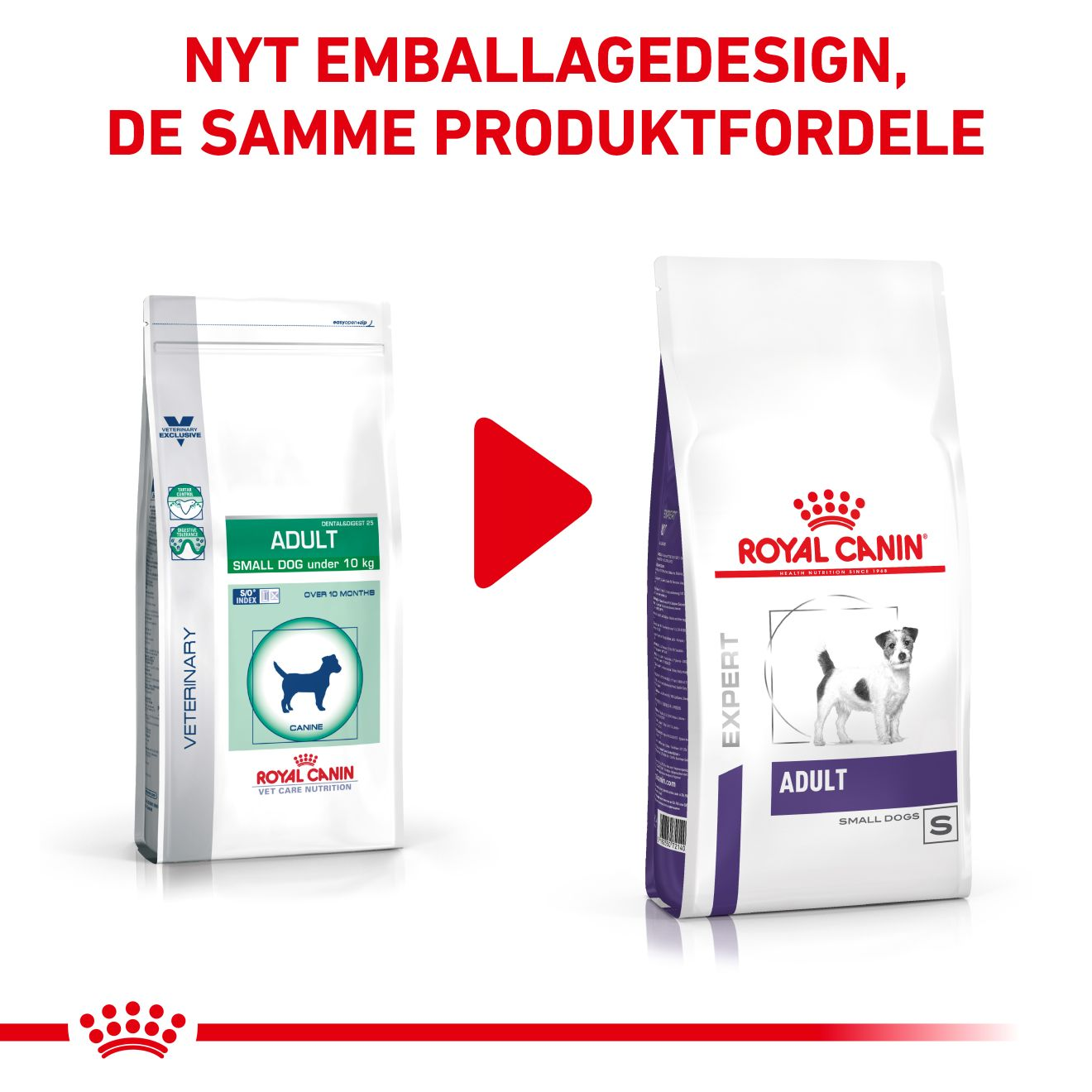 Health Adult Small dog