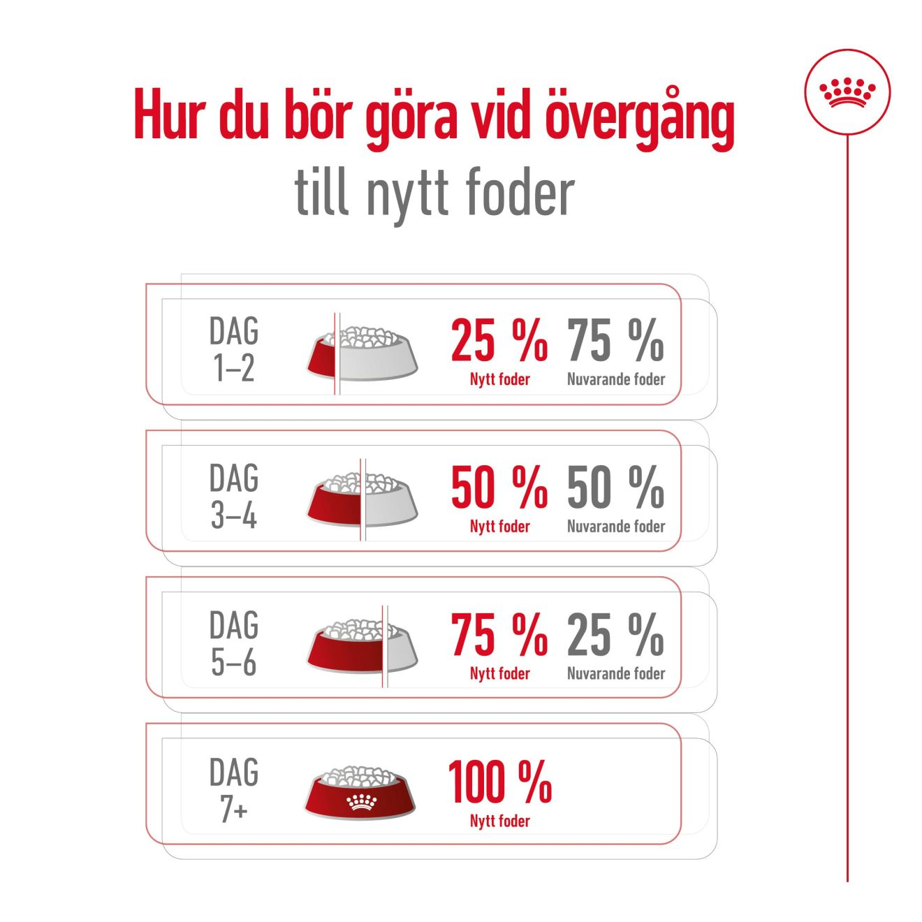 Maxi Adult 5+
