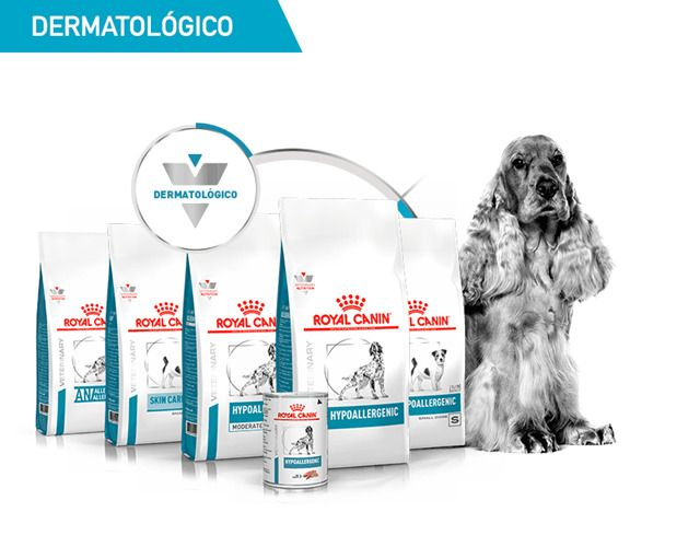 Linha Vet Cães | Royal Canin Brazil