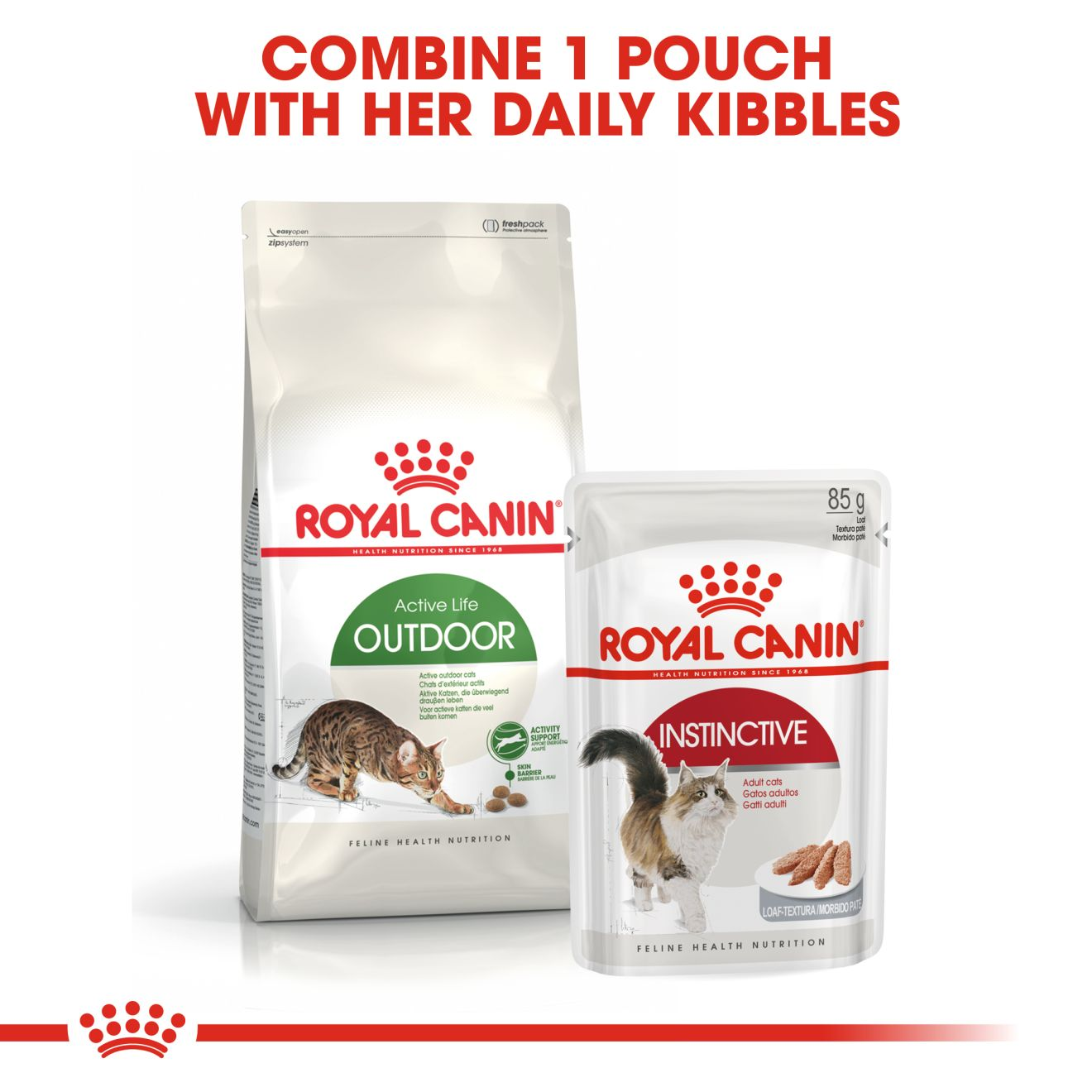 royal canin outdoor