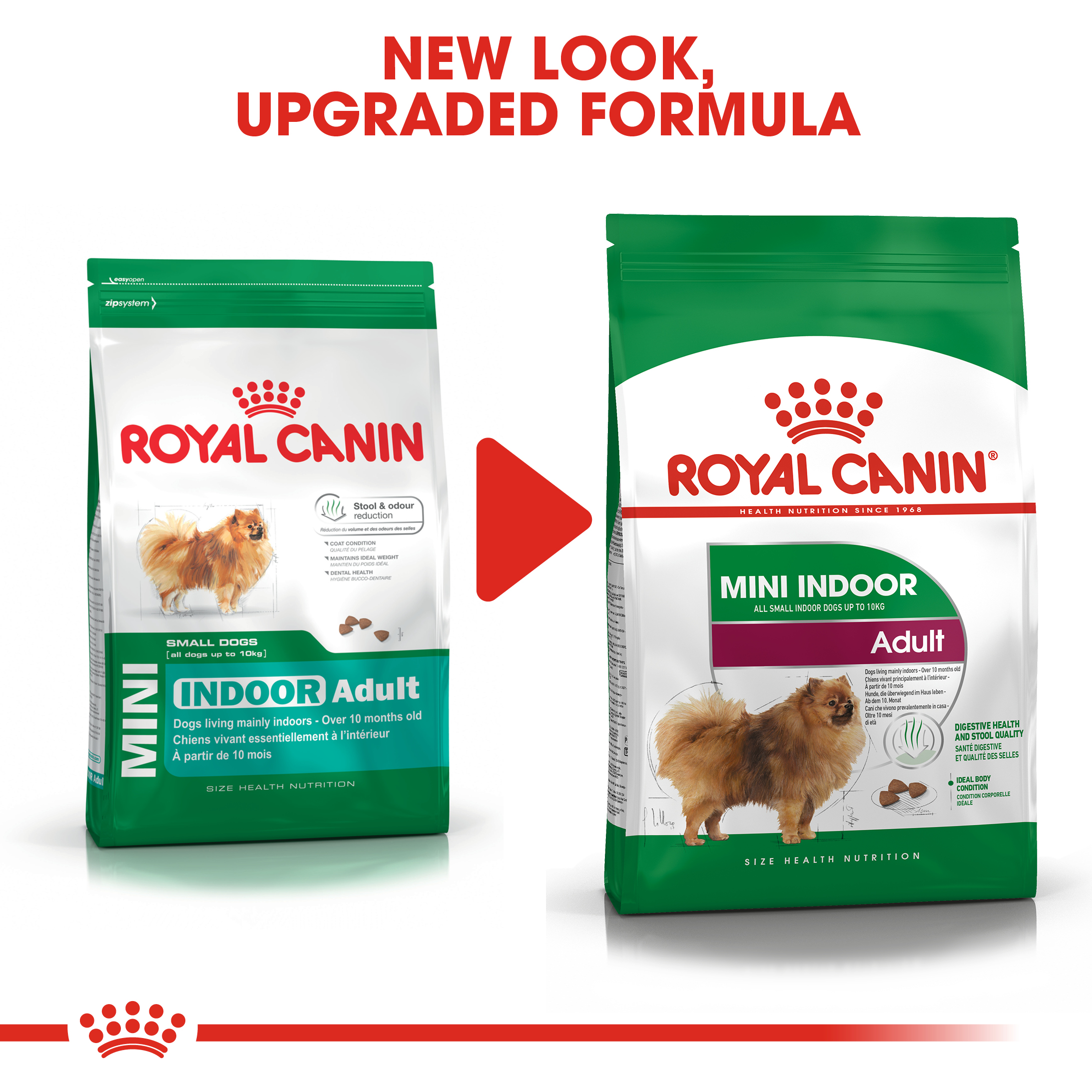 royal canin mini digestive care 10 kg