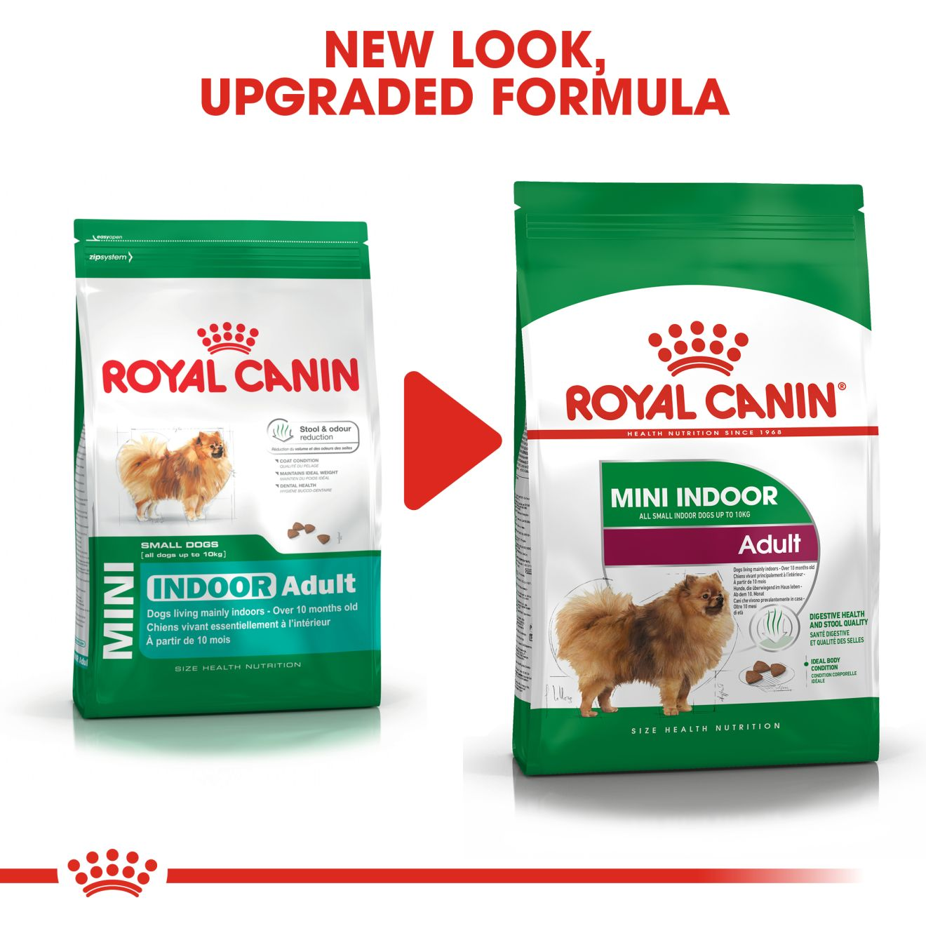 royal canin digestive care mini