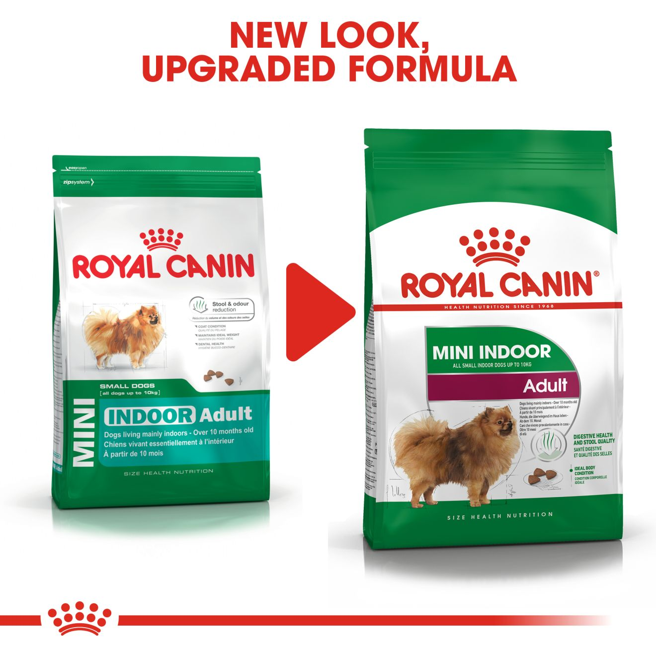 Royal canin shop indoor life adult