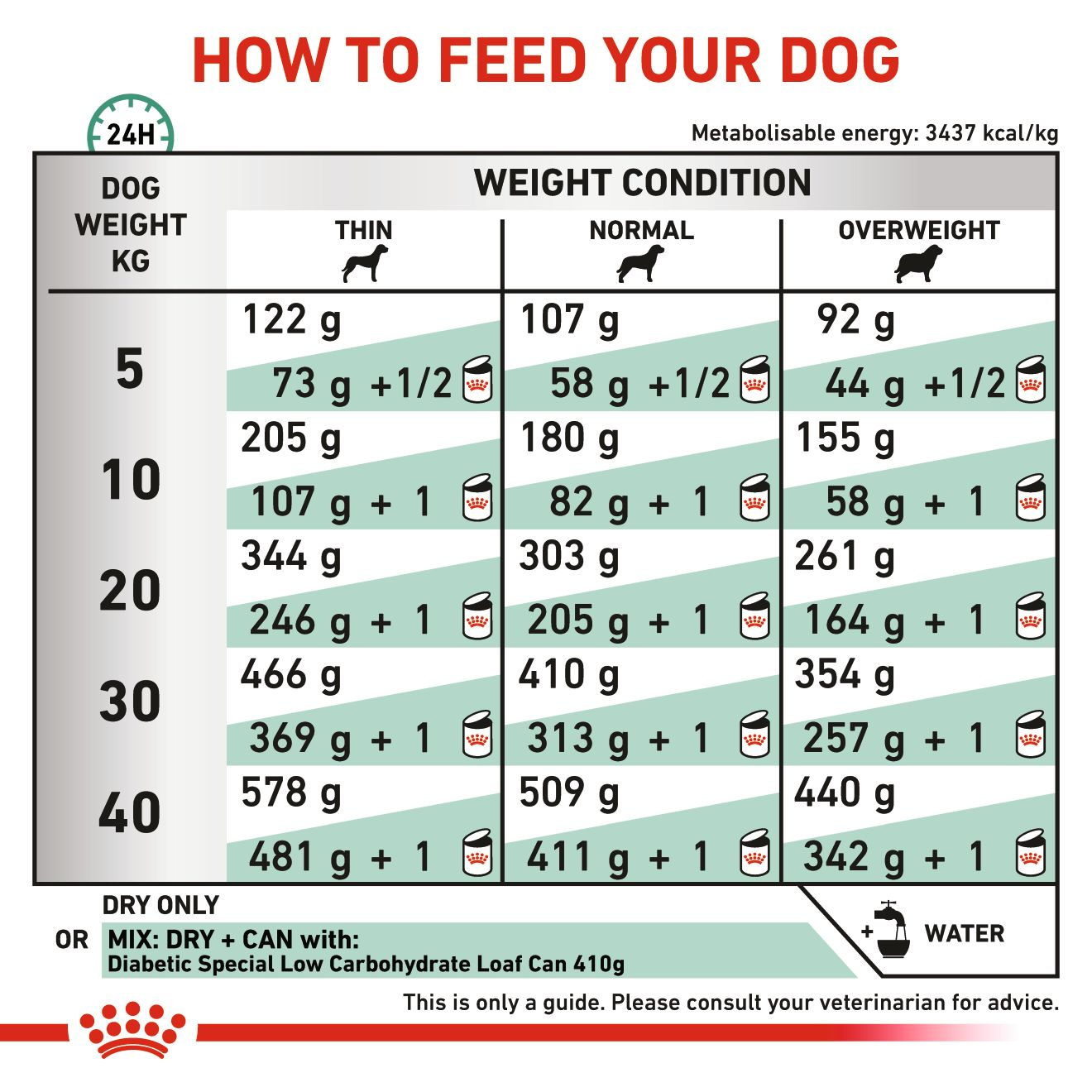 DIABETIC CANINE