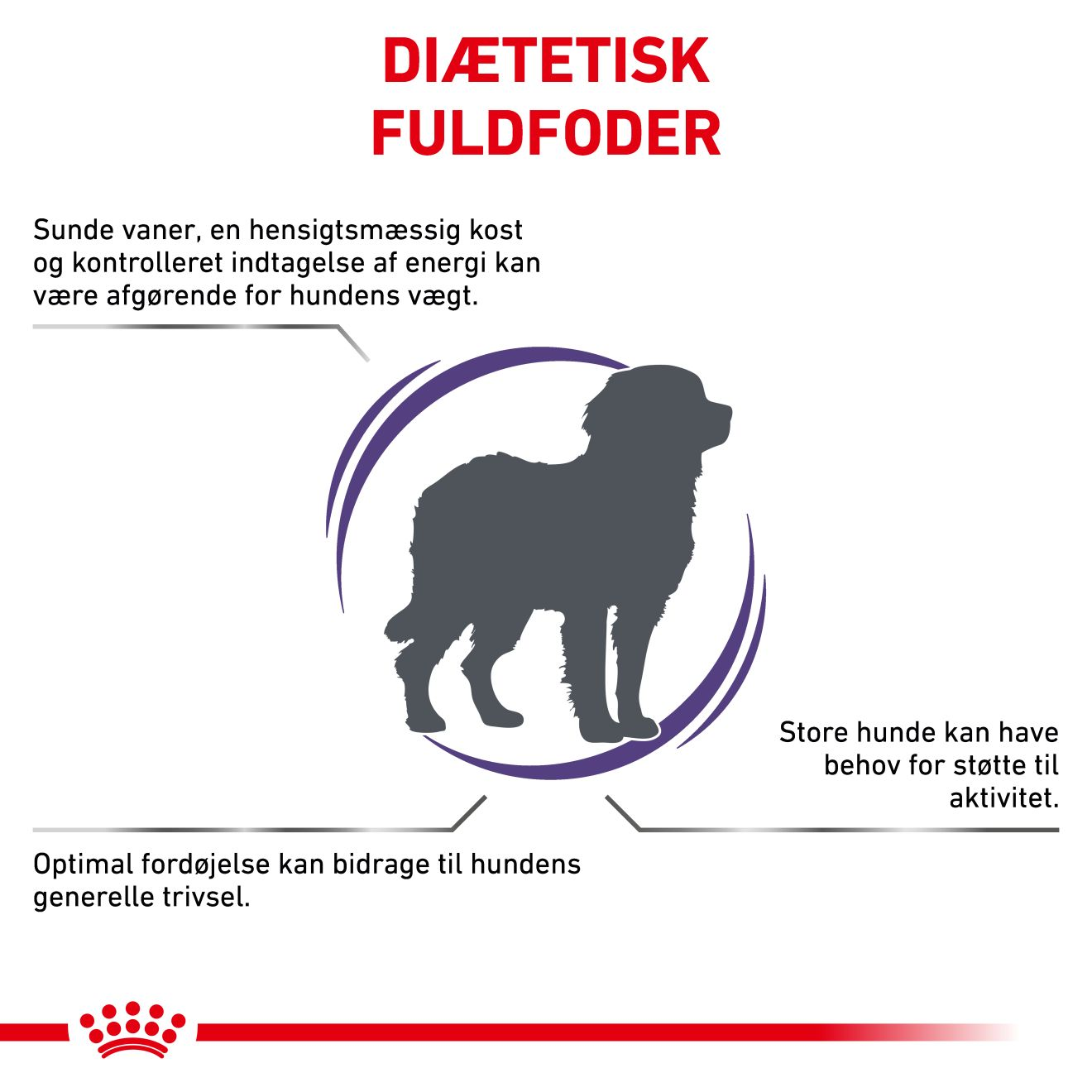 Health Adult Large Dog