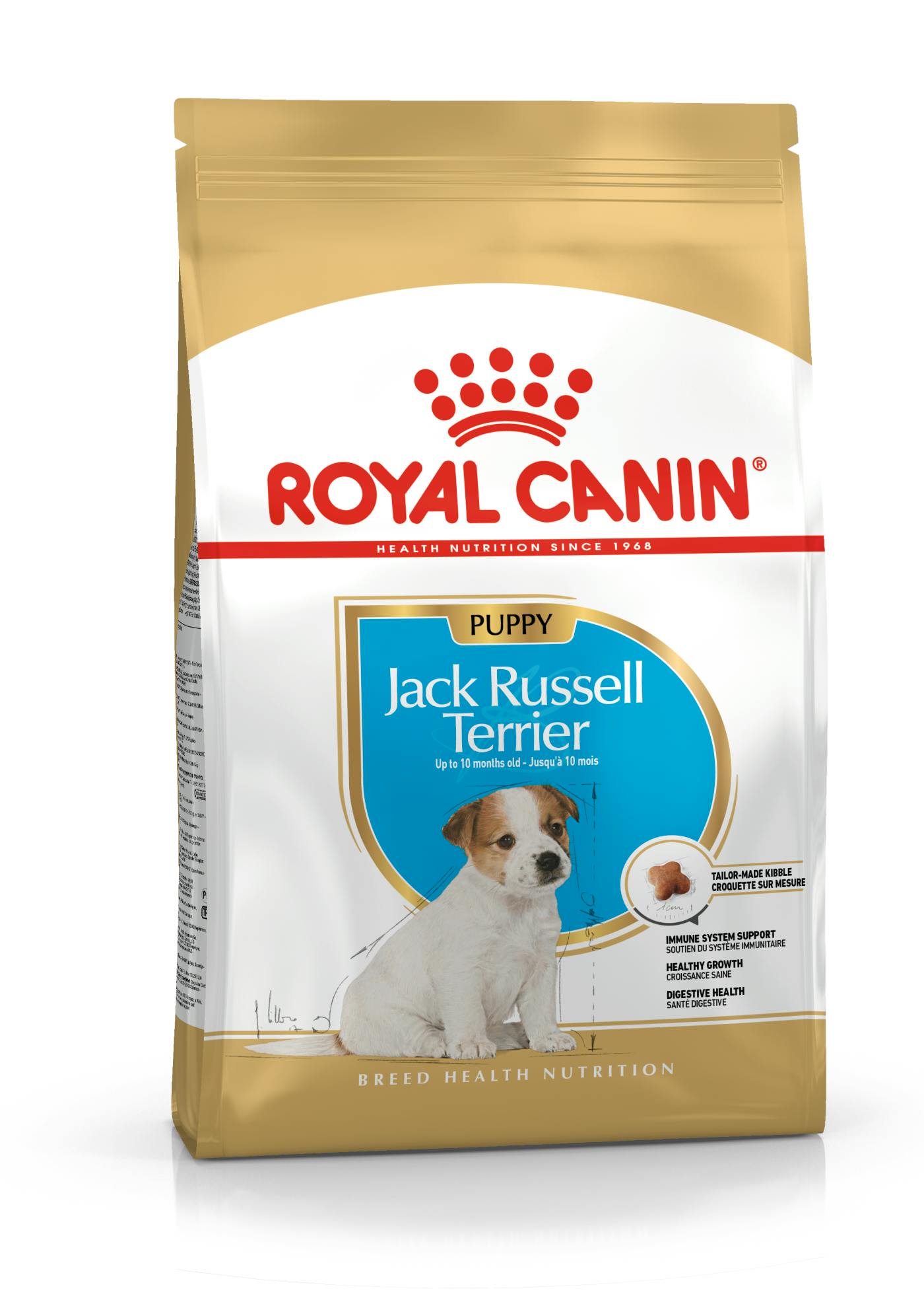 Abrasivo un millón Levántate Jack Russell Terrier Puppy dry | Royal Canin