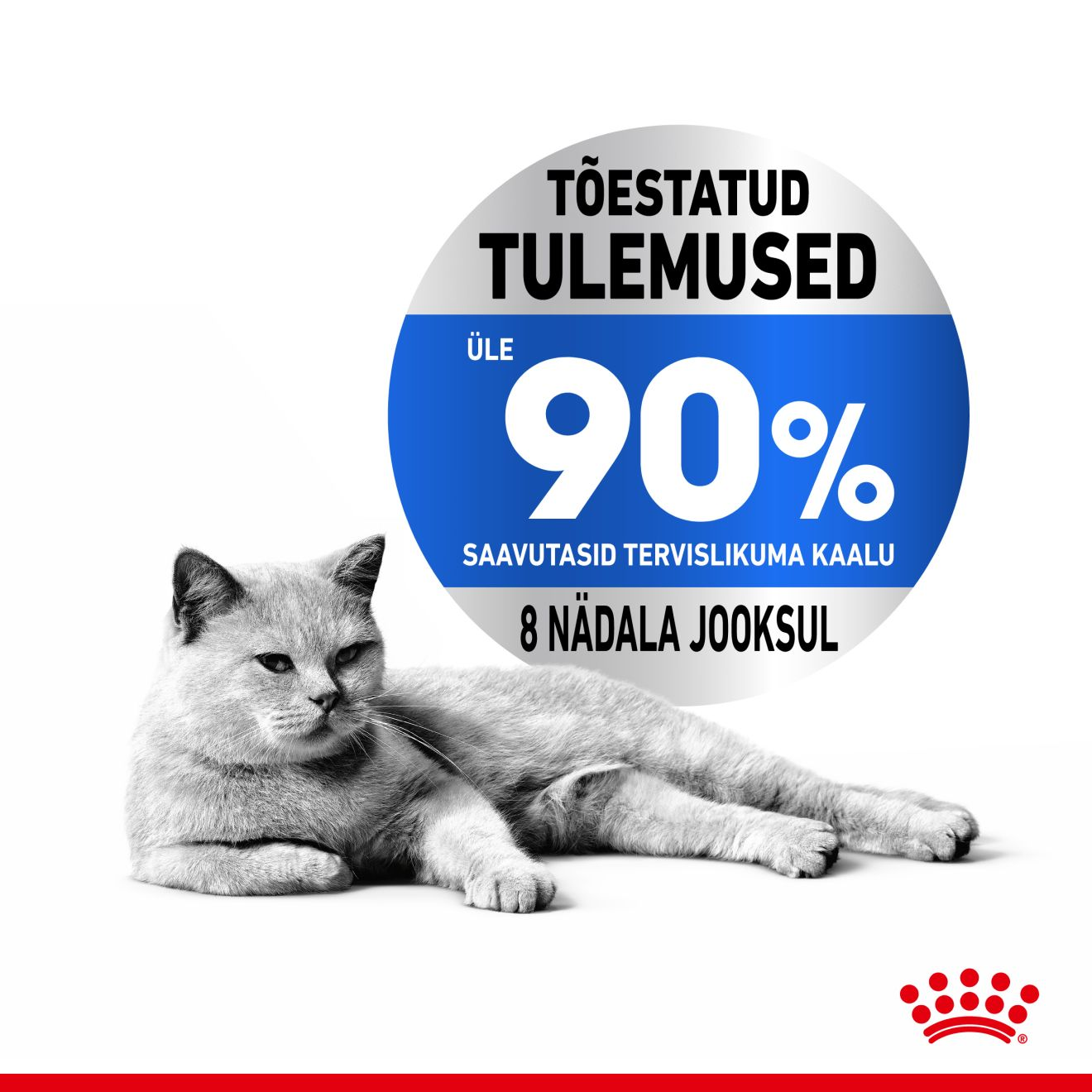 Royal Canin Light Weight Care konserv (õhukesed viilud kastmes)