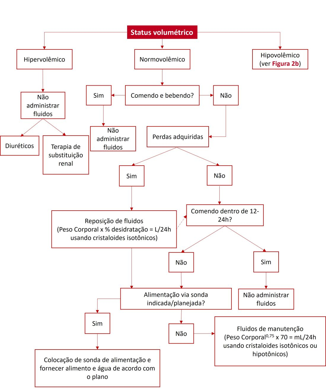 Fluxograma para prescrição de fluidos em gatos