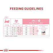 Kitten Feeding Chart By Age Shop Stores Clc cet edu