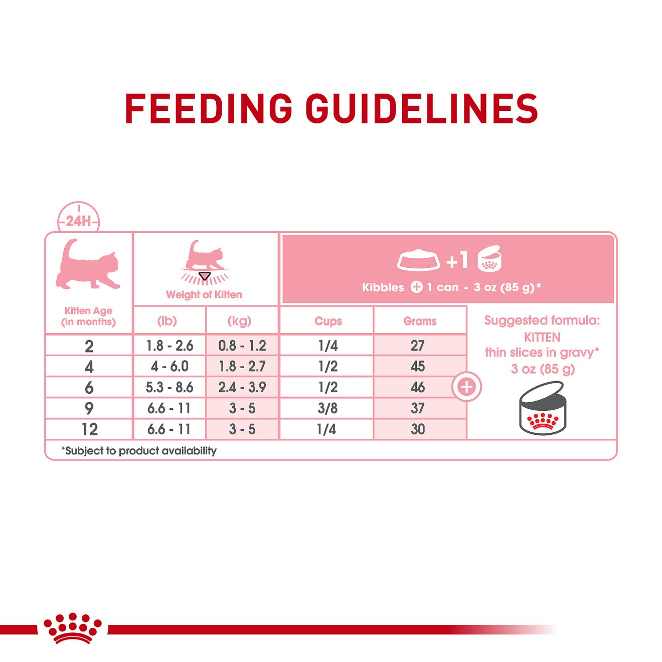 Kitten wet on sale food feeding guide