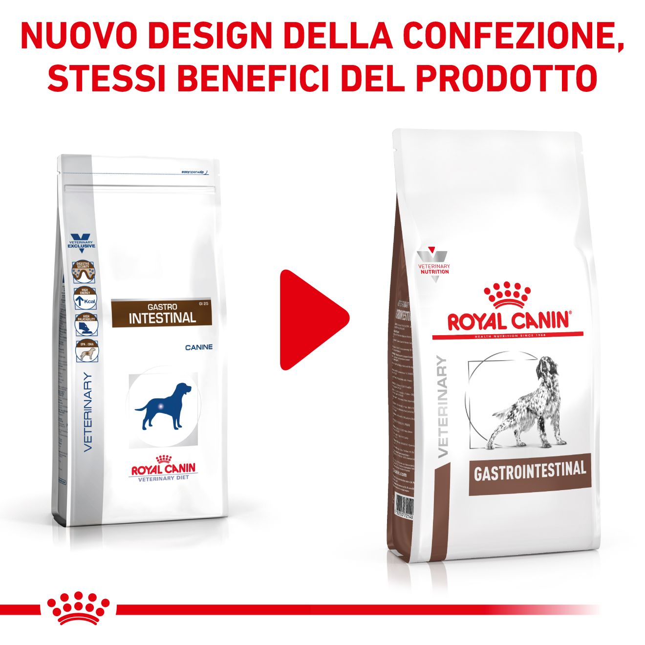 Royal canin hotsell gastrointestinal cane