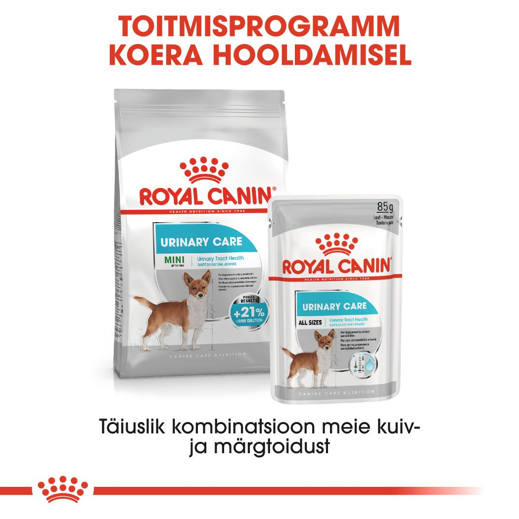 Royal Canin Mini Urinary Care kuivtoit