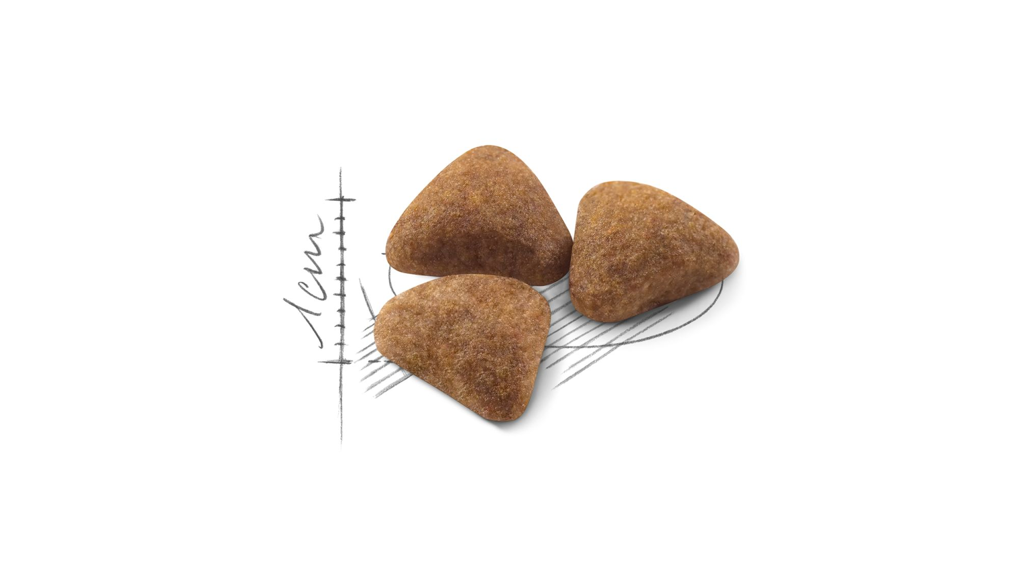 Illustration de croquettes Royal Canin pour chats d'intérieur