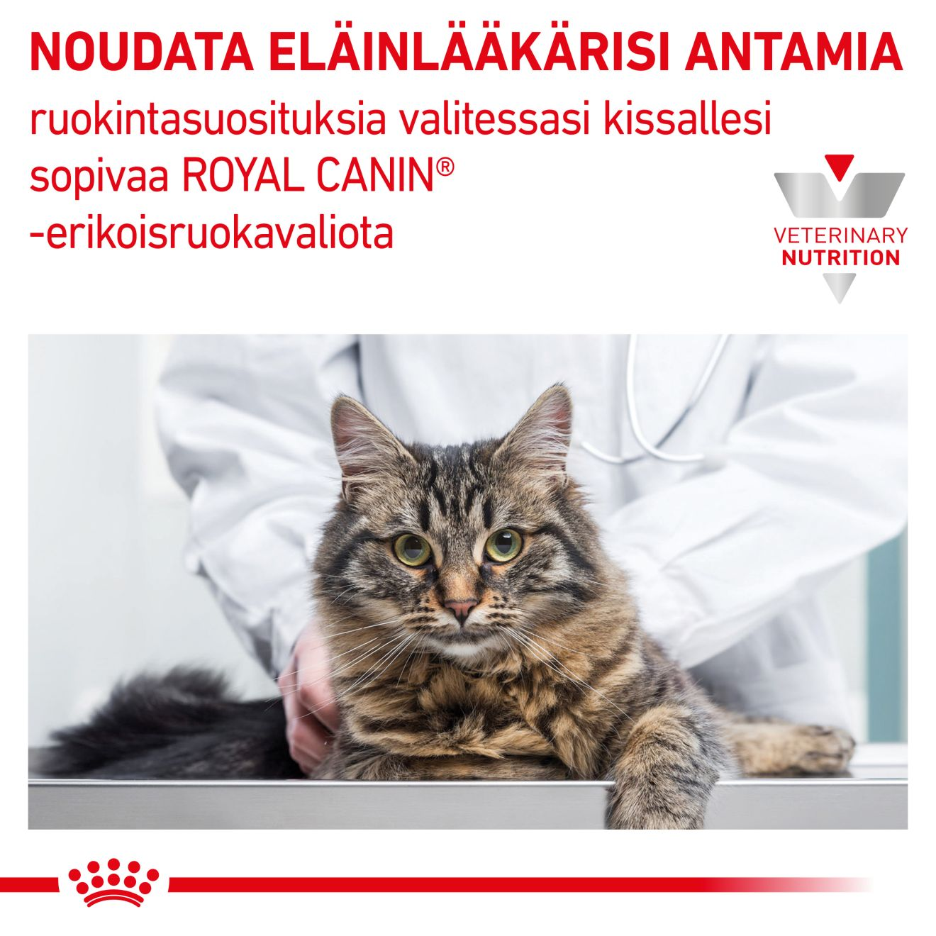 Vital Renal Special