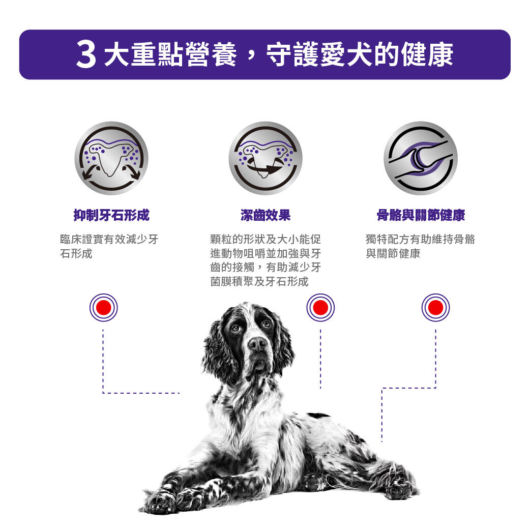 成犬牙齒護理健康管理配方