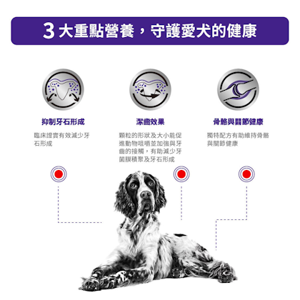 成犬牙齒護理健康管理配方_方_2