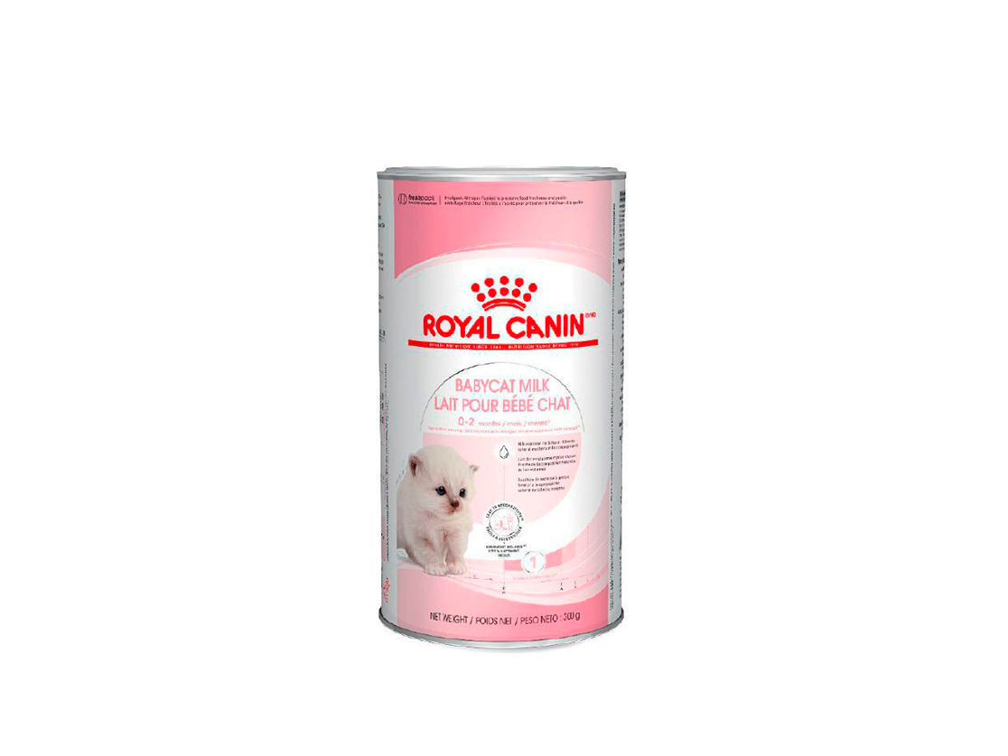 baby cat milk poduct