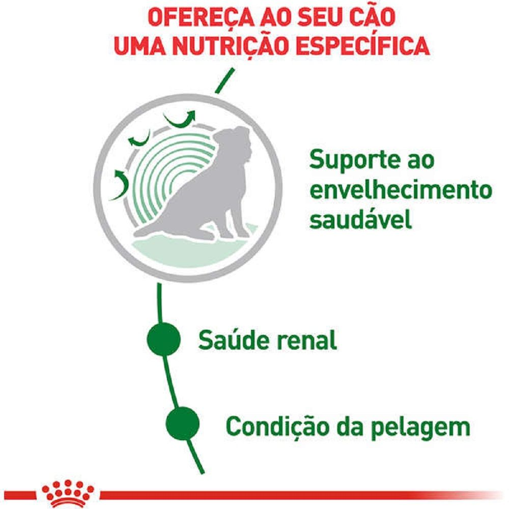 Mini Ageing - Alimento Úmido 