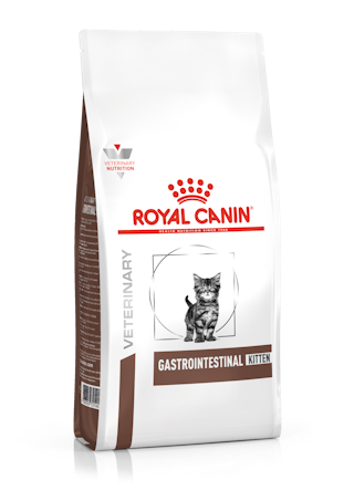 Gastrointestinal Kitten