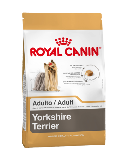 elemento Recuerdo recurso Yorkshire Terrier Adult dry | Royal Canin