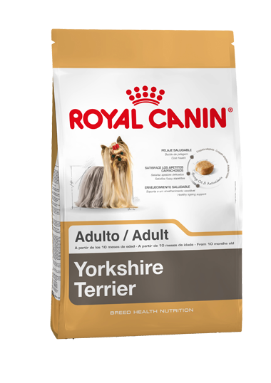 Canin 2025 yorkshire terrier