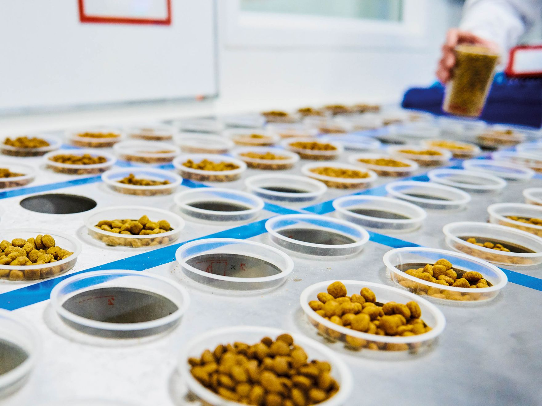 Amostras de croquetes num laboratório