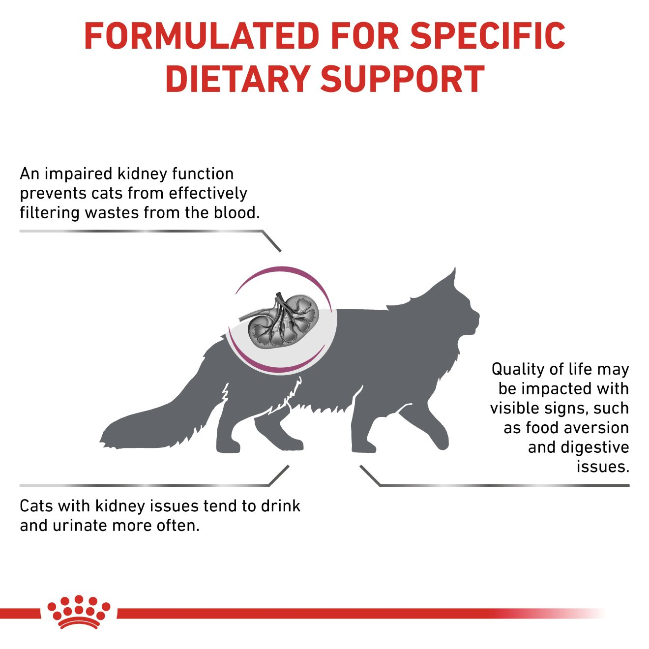 VHN Cat Renal