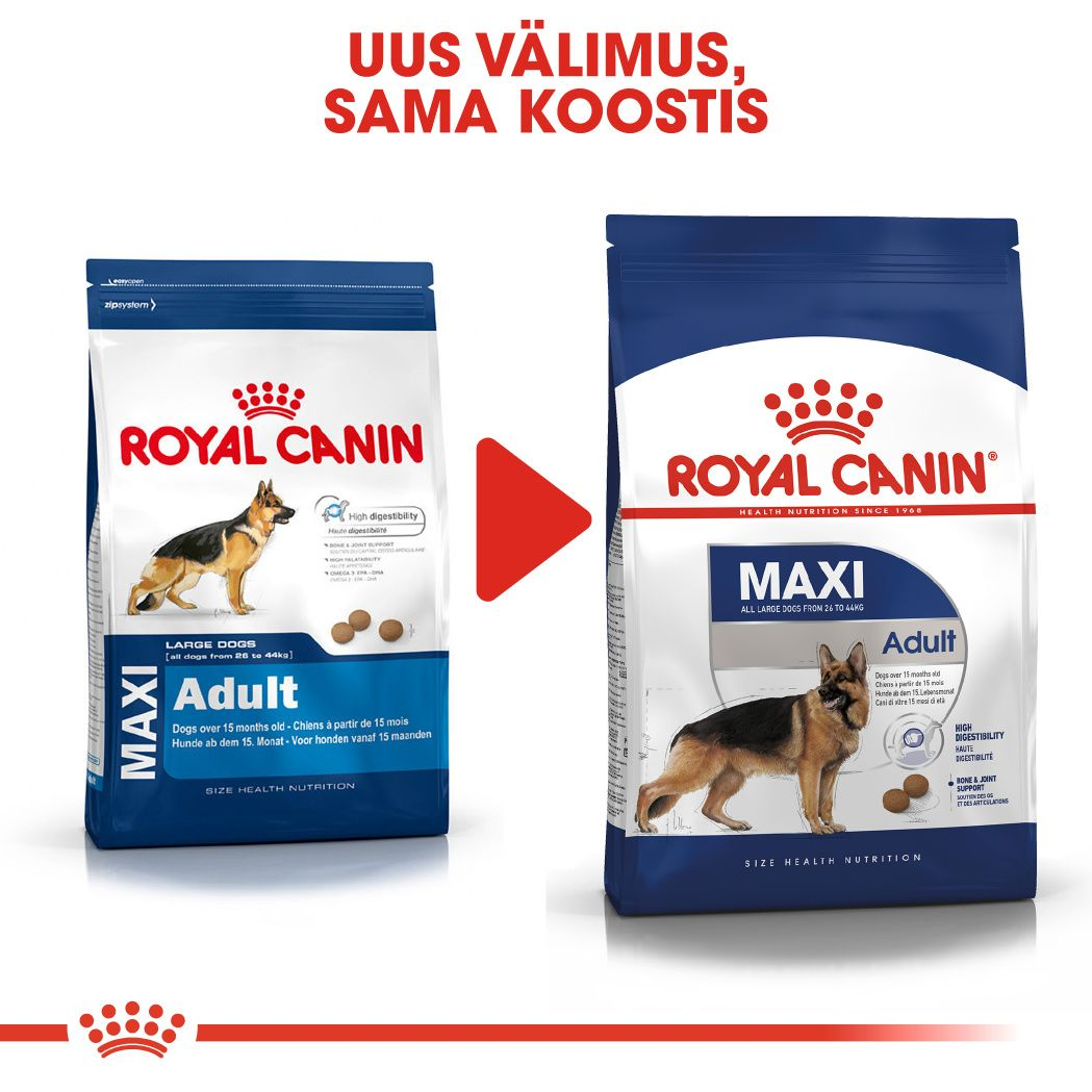 Royal Canin Maxi Adult kuivtoit