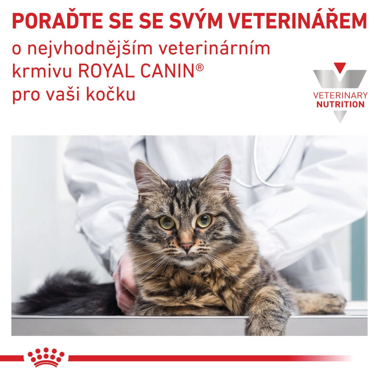 VHN Cat Renal Chicken Gravy Kapsičky