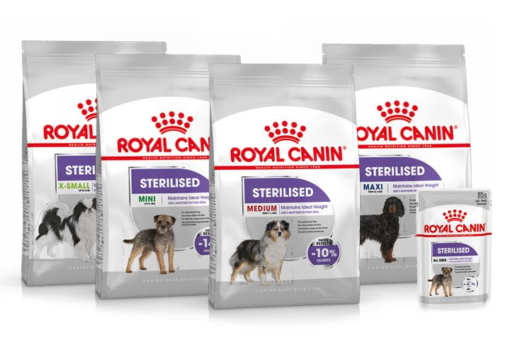 Royal canin shop sterilised dog food