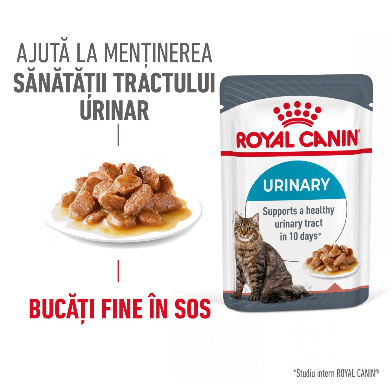 URINARY CARE Thin slices in gravy