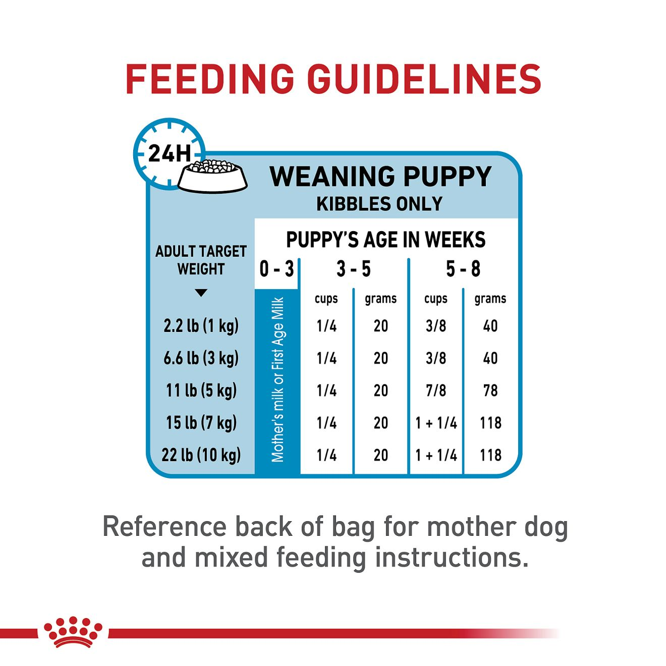 Small Breed Dog Food and Feeding Guide