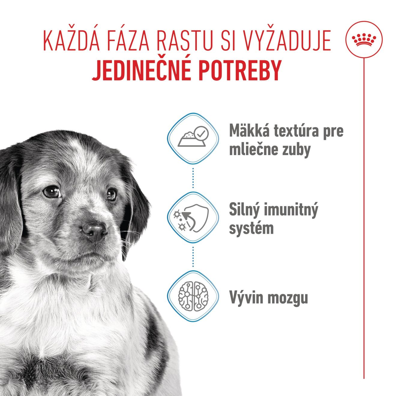 MEDIUM PUPPY kúsky v šťave