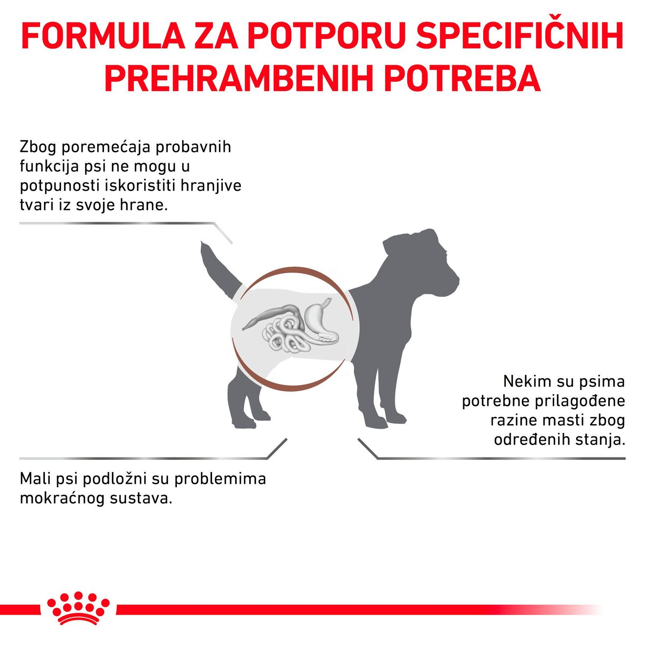 GASTROINTESTINAL LOW FAT SMALL DOG