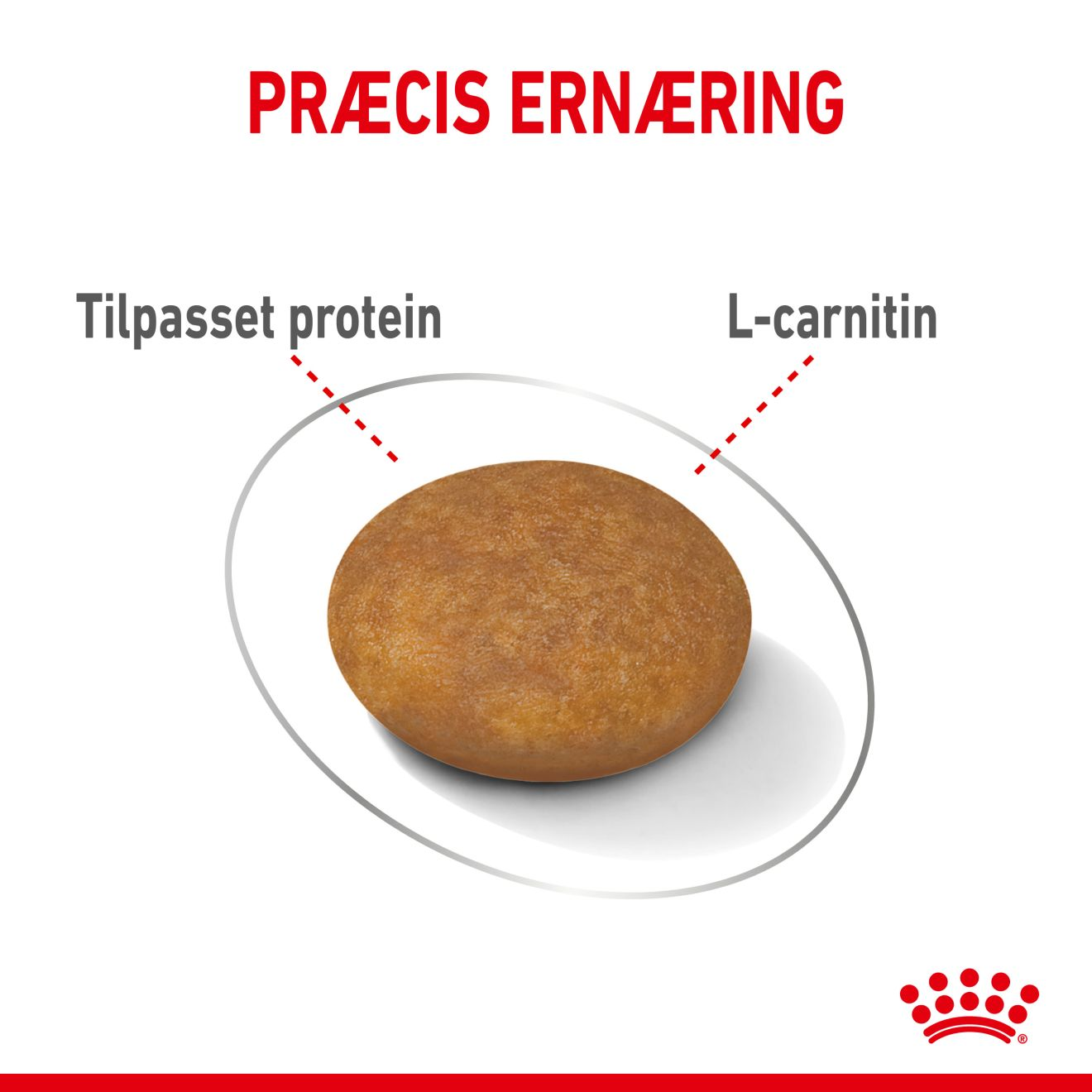 X-Small Light Weight Care Adult