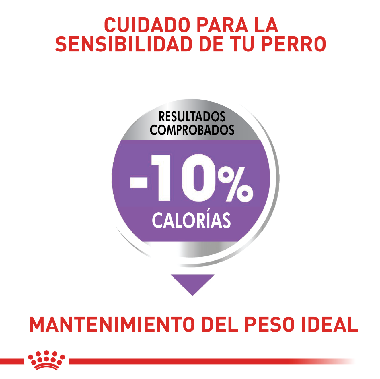 Perro Mediano Esterilizado