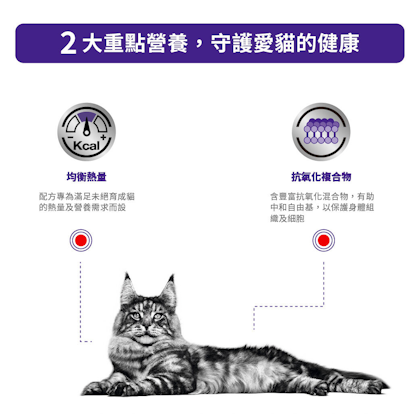 成貓健康管理配方_方_2