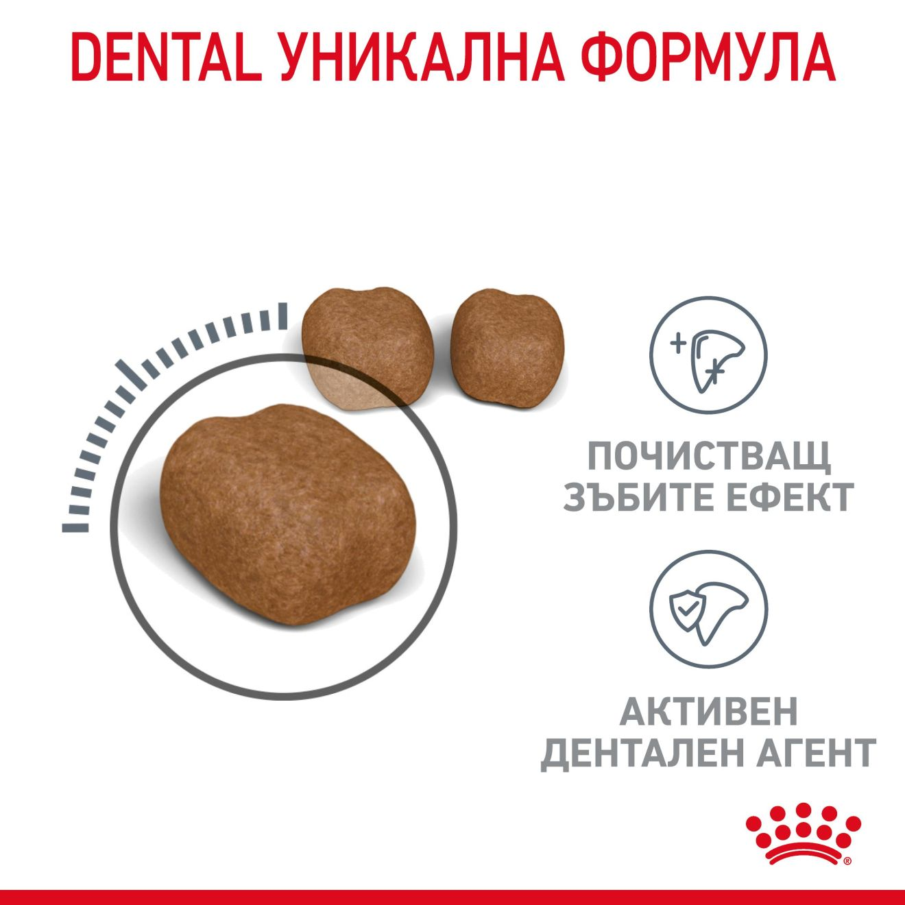 DENTAL CARE