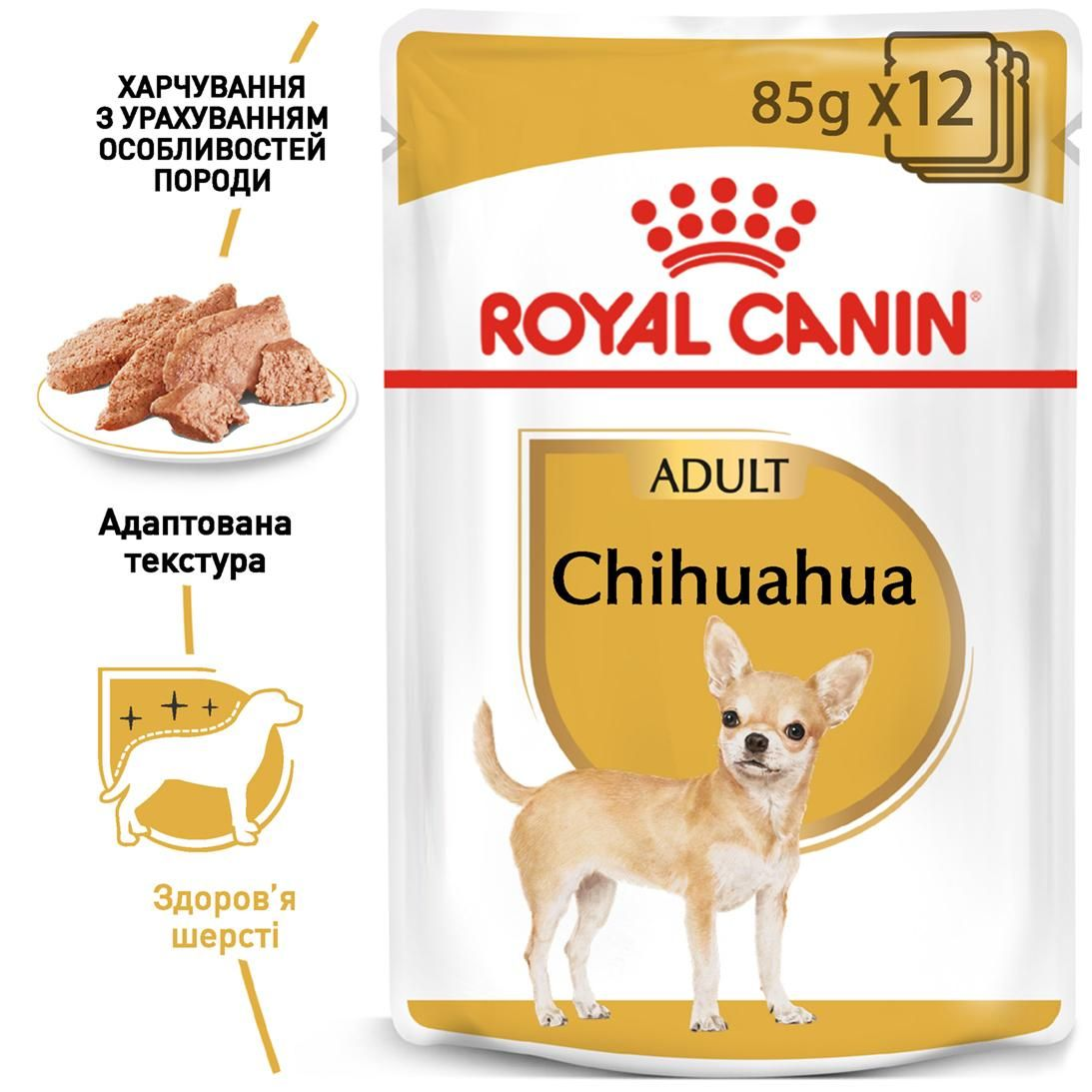 Chihuahua
