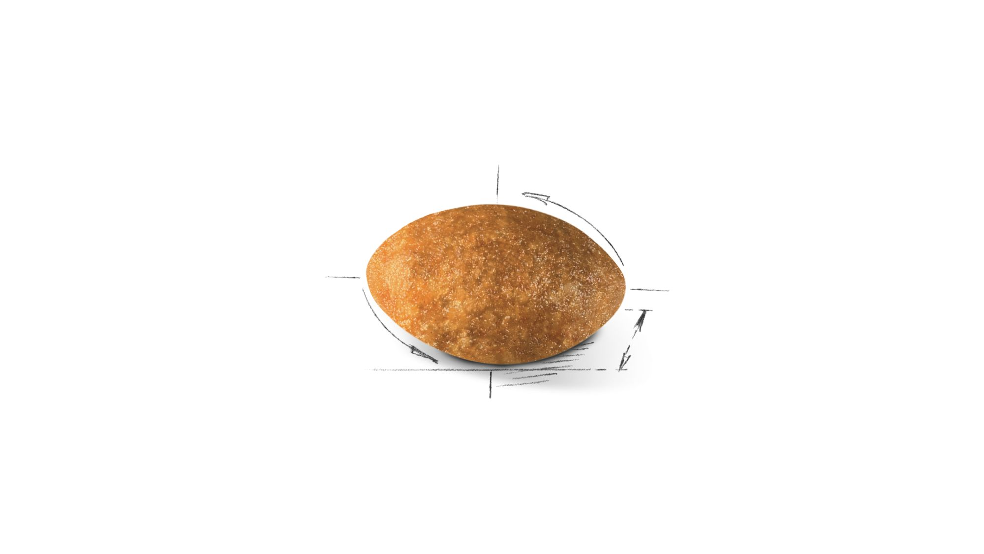 Illustration de croquettes pour persan Royal Canin